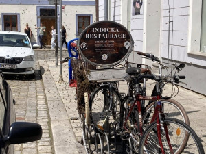 V centru Budějc se usadil roj včel. Postarat se o něj museli hasiči