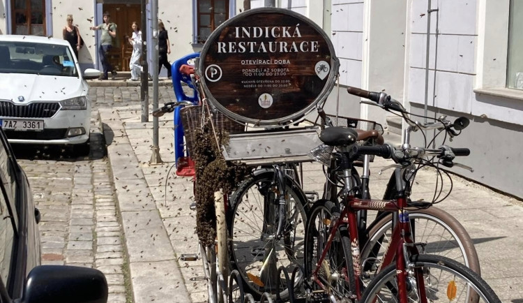 V centru Budějc se usadil roj včel. Likvidovat ho museli hasiči