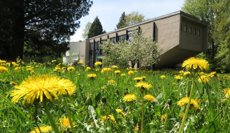 Budějovické planetárium loni zaznamenalo rekordní návštěvnost. Pomohl Pink Floyd
