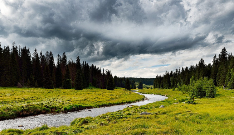Národní park Šumava zvažuje kvůli suchu změnu podmínek pro splouvání Teplé Vltavy