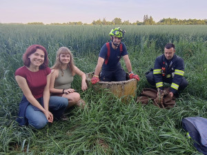 Malé srnče spadlo do betonové skruže. Ven mu pomohli hasiči
