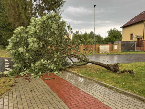 Silná bouřka zaměstnala hasiče. Řešili 200 událostí, převážně popadané stromy