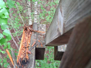 Vyhlídka na Soumarském rašeliništi je ve špatném stavu.