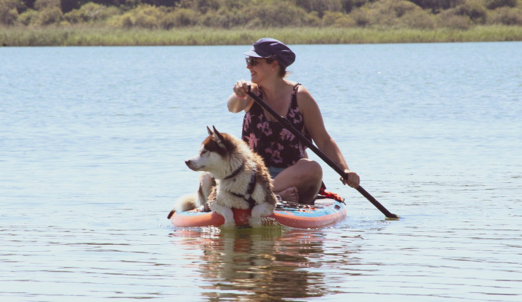 U většiny sledovaných pláží na jihu Čech má voda nejvyšší možnou kvalitu