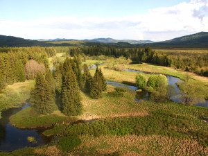 Výjimečná situace na Teplé Vltavě. Národní park pozastavil vodácké registrace