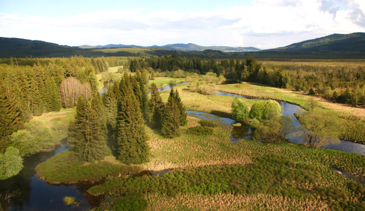 Výjimečná situace na Teplé Vltavě. Národní park pozastavil vodácké registrace
