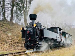 Soud schválil prodej jindřichohradecké úzkokolejky Gepard Expressu za 83 milionů korun