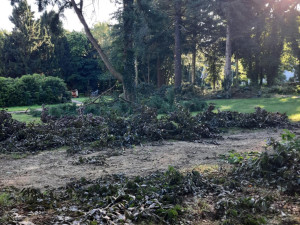 Týraná zvířata nahradí dinosauři. Zámek v Chlumu mění tvář i navzdory vyšetřování