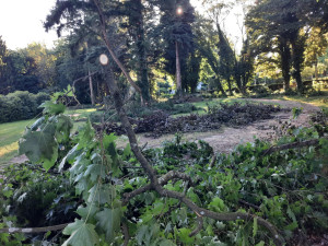 Týraná zvířata nahradí dinosauři. Zámek v Chlumu mění tvář i navzdory vyšetřování