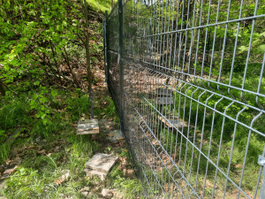 Týraná zvířata nahradí dinosauři. Zámek v Chlumu mění tvář i navzdory vyšetřování