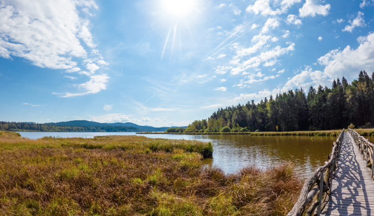 Nejvýše položený chovný rybník Olšina je po opravě česel z části stále bez vody