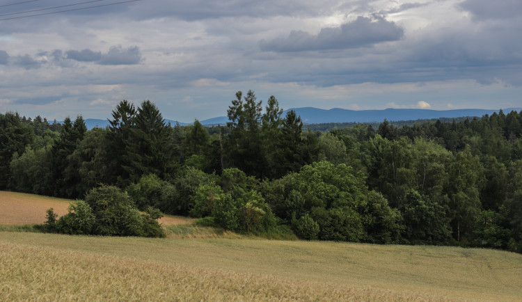 Jivno je proti vzniku parku u Rudolfovského potoka. Není třeba další rozšiřování, tvrdí obec