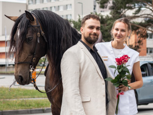 Požádat o ruku přijel přítelkyni do IGY Centra na koni. Řekla ano