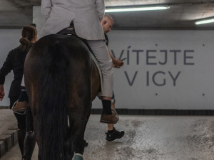 Požádat o ruku přijel přítelkyni do Igy Centra na koni. Řekla ANO