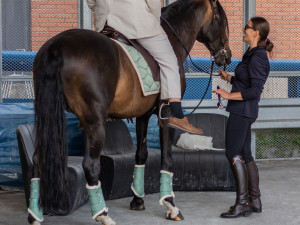 Požádat o ruku přijel přítelkyni do Igy Centra na koni. Řekla ANO