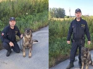 Rodina pohřešovala muže, hrozilo, že si ublíží. Vypátral ho policejní pes