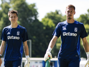 Bratři Kerlovi míří z Táborska do Sparty. Společně posílí rezervu