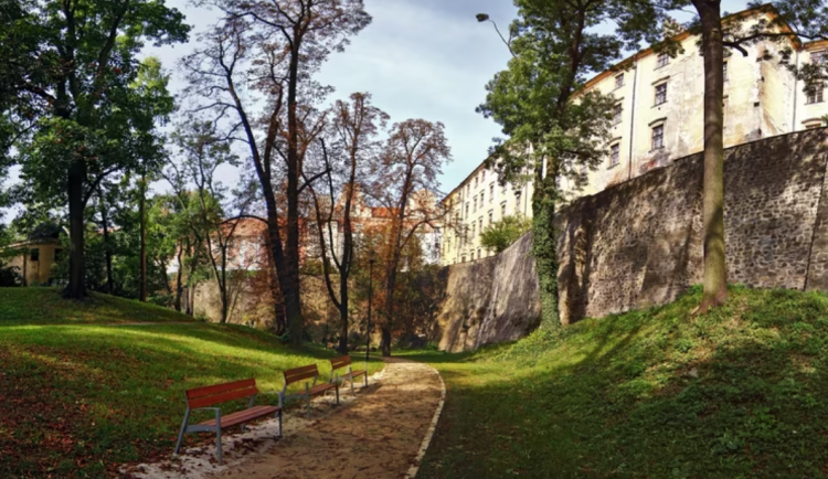 Jaký vliv má zeleň na lidi, zkoumají olomoučtí vědci. Ve městě každopádně snižuje teplotu