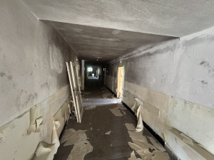 Z plicní léčebny v Hrudkově má být lázeňská zóna. Vyšší Brod chystá proměnu