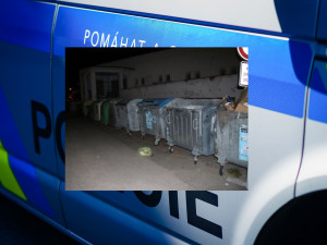 Do kontejneru někdo odhodil v pytli dvě koťata. Obě zemřela, policie hledá pachatele