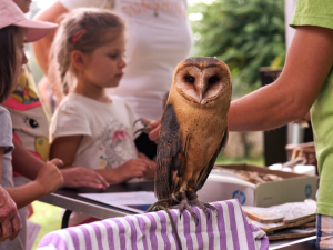 Jihočeská tvrz Žumberk ožije letní řemeslnou slavností