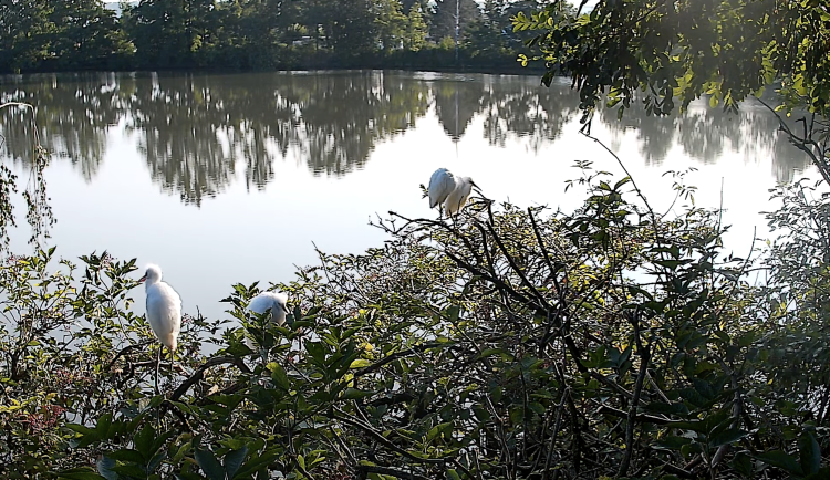 ! Nepojmenováno - 8:01:57 6.8.2025