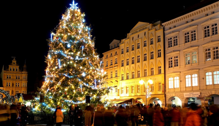 Z vánočního stromu vzniknou umělecká díla. O jejich podobě rozhodne veřejnost