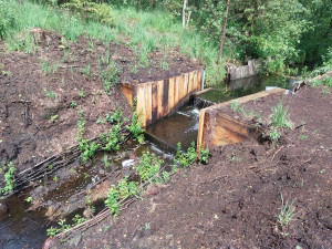 Lesy ČR obnovily přehrážky v Borkovických blatech, aby zamezily úniku vody.