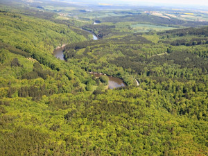 V ČR a Polsku začal na několika místech projekt na obnovu a ochranu lesů