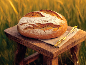 První křupnutí rozhodne. Klásek je nový hrdina jihočeských stolů