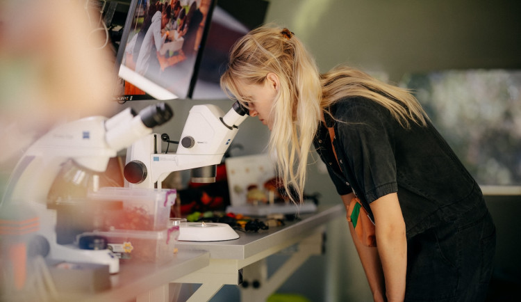 V Pavilonu R2 na Výstavišti České Budějovice vznikne místo, kde se střetne zemědělství s uměním, vědecký výzkum s kulturní reflexí – a kde se o krajině bude mluvit i přemýšlet jinak, než jsme zvyklí.