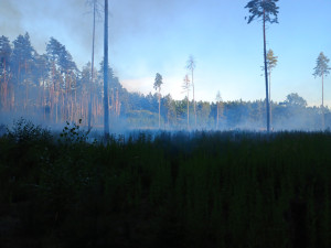 U Sepekova shořelo půl hektaru lesa
