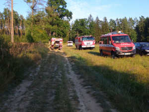 U Sepekova shořelo půl hektaru lesa