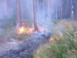 U Sepekova shořelo půl hektaru lesa