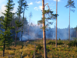 U Sepekova shořelo půl hektaru lesa