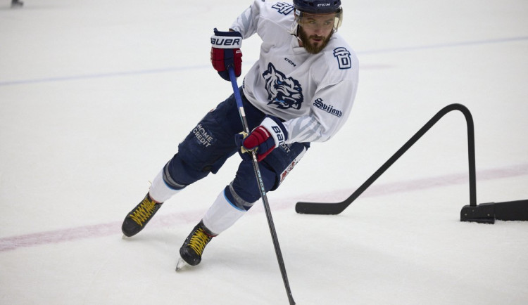 Komplikace pro Tygry. Tomáš Filippi je po operaci, nestihne start extraligy