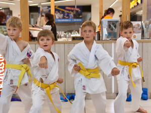 Objevte s dětmi nové zájmy na Festivalu kroužků v DOC Mercury