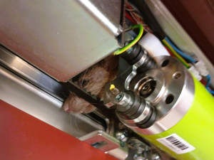 Pozor, ve dveřích je zaseknutá krysa, hlásila cedule. Zasáhnout museli hasiči