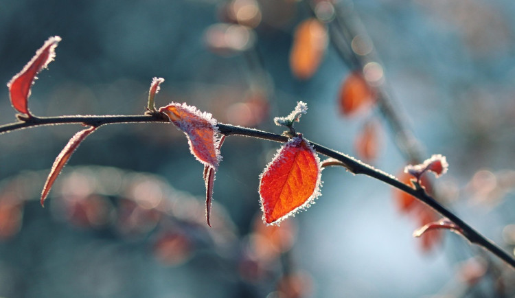Česko má za sebou další chladné ráno. Teploty klesaly pod nulu, hlavně na Šumavě