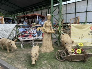 Jednapadesátý ročník živitelky hlásí rekordní návštěvnost. Agrosalon přilákal nejvíce lidí za 22 let