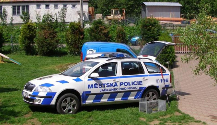 Včely se usídlily na ulici v Jablonci. Roj si převzal včelař