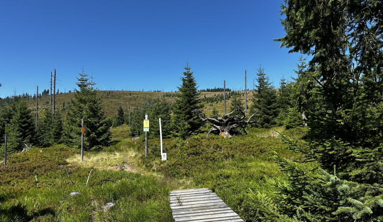 Hraniční přechod ve směru z Česka