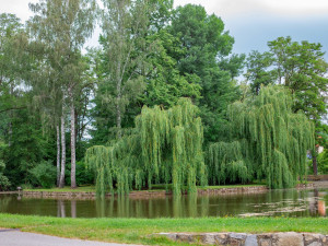 V Bukovsku slaví pouť celý víkend, tentokrát začínají benefičním koncertem
