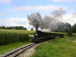 Gepard Express nezaplatil včas za koupi jindřichohradeckých úzkokolejek