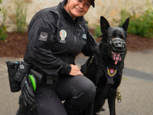 Budějovice mají nového ochránce, do ulic vyrazil německý ovčák Maverick