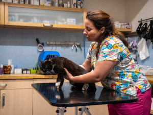 Radka Vaňousová ordinuje.