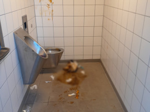 Nepochopitelný čin vandalů, exkrementy rozmazali po stěnách i podlaze