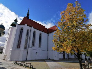 Budějovice budou o víkendu hlavním městem památek