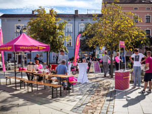 Dostaňte Starosty do čela! Jihočeši chtějí hlas, který je slyšet i v Praze