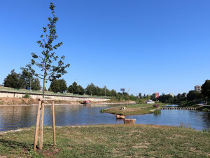 Sluneční ostrov po více než měsíci fungování. Jak projekt hodnotí lidé?